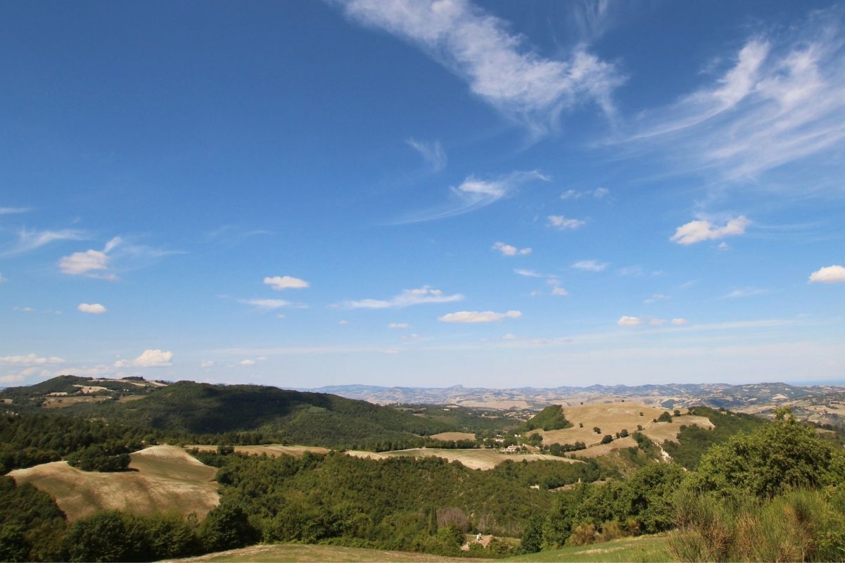 Girolomoni_campi a Isola del Piano