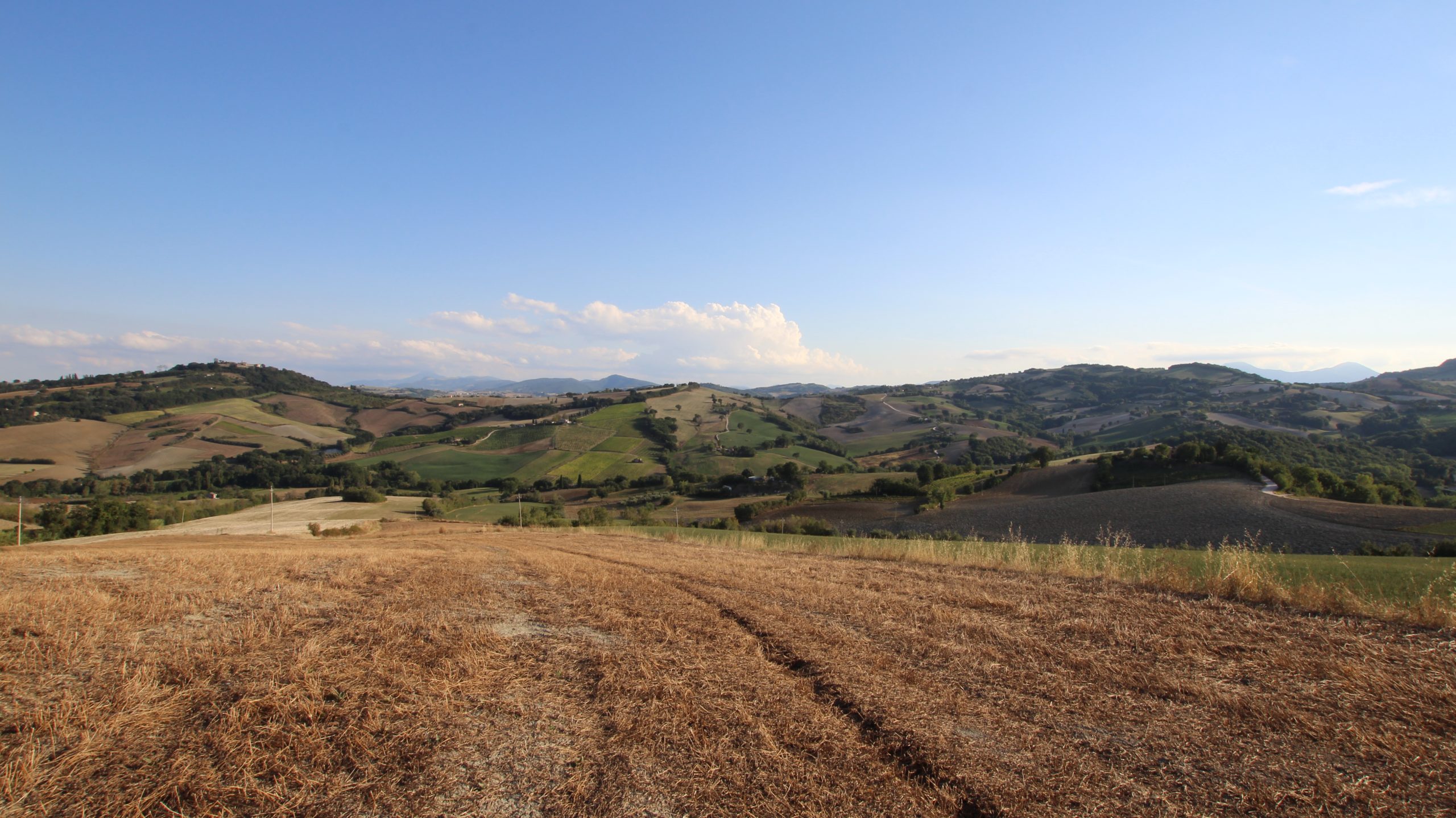 azienda agricola i lubachi